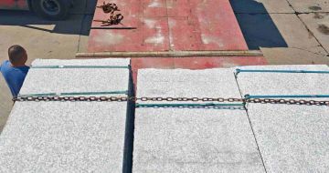 攀枝花芙蓉白芝麻白毛板