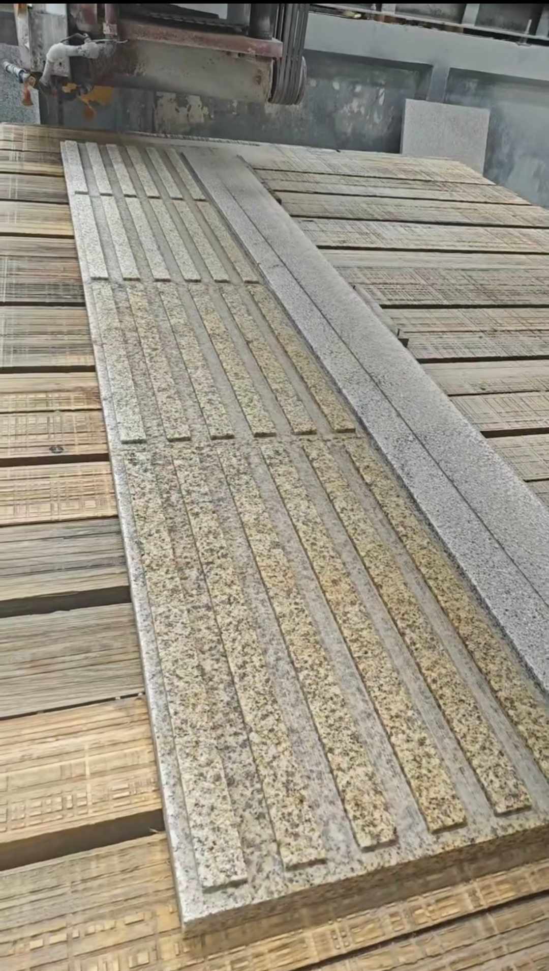 攀枝花黄金麻盲道石 盲条